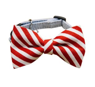 Adjustable Neck Tie Gentleman Dog Collar 6-11 Inches