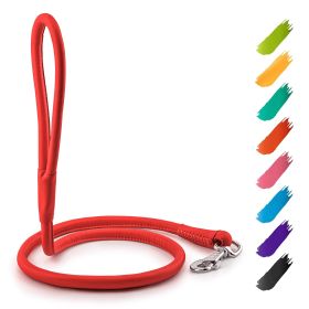 Rolled Leather Dog Leash 4Ft x 0.3 in