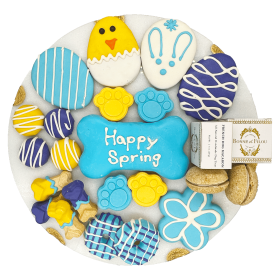 Easter-Spring Themed Treat Gift Box