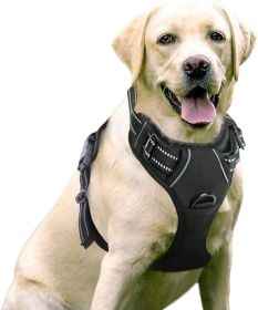 No-Pull Pet Harness with 2 Leash Clips (Color: Baby Blue, size: X-Large)