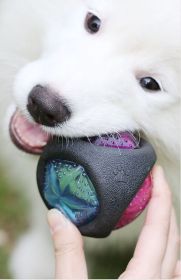 Light Up Squeaky Toy (Design: round)