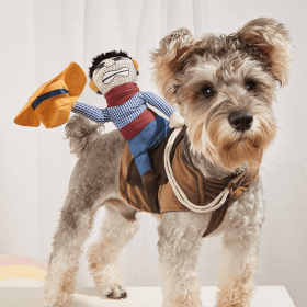 Cowboy Rider Costume (Color: Mixed Color, size: S)
