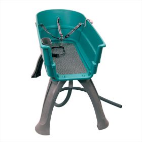 Booster Bath Elevated Dog Bath and Grooming Center Large 45" x 21.25" x 15" (Color: Teal, size: large)